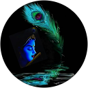 Sheeja Krishna profile picture