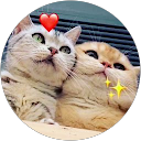 NasheethaBasheer profile picture