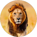Jayakrishna profile picture