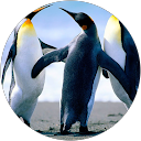 Dhanasekar G profile picture